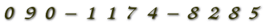 090-1174-8285